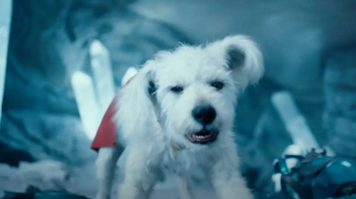 dog – likely Krypto, Superman's super-powered canine companion